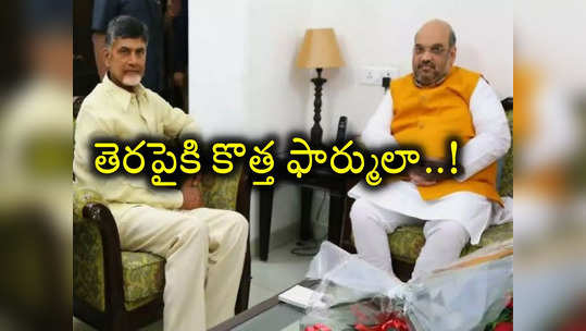 అమిత్ షా రాజకీయ చాణక్యం.. టీడీపీతో సీట్ల పంపకంపై బీజేపీ కొత్త ఫార్ములా! 