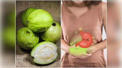 Too many Guava: প্রায়দিন খান একাধিক পেয়ারা? তাতে যে শরীরের ক্ষতি হচ্ছে, সে খবর হয়তো রাখছেন না!