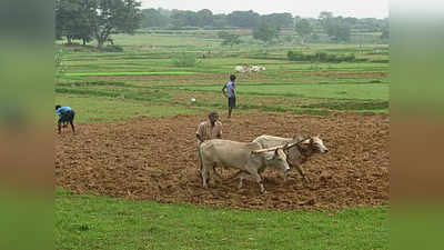 Bihar Mausam Update News: बिहार में मौसम ने ली करवट, सुबह से बारिश, किसान फसलों का कर लें भंडारण