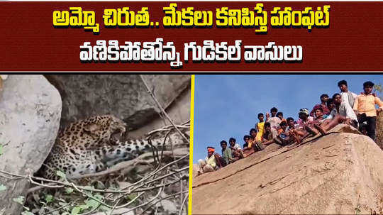 leopard tensions to local people near yemmiganur kurnool district