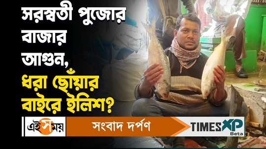 saraswati puja 2024 hilsa price hike across malda check market rate watch bengali video