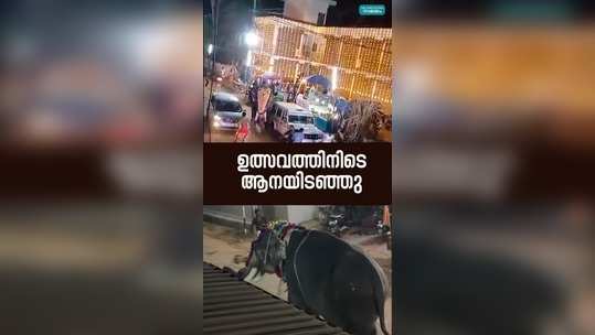 elephant attack during the festival in malappuram