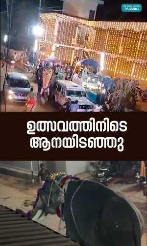 elephant attack during the festival in malappuram