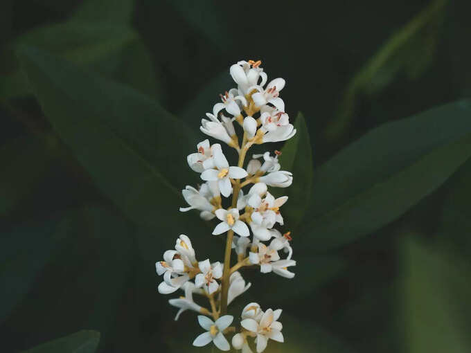 ​ತ್ರಿಮೂರ್ತಿ ಪೂಜೆಯ ರಹಸ್ಯಗಳು​