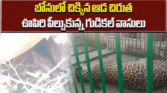 forest officials trapped leopard in gudikal of mahbubnagar