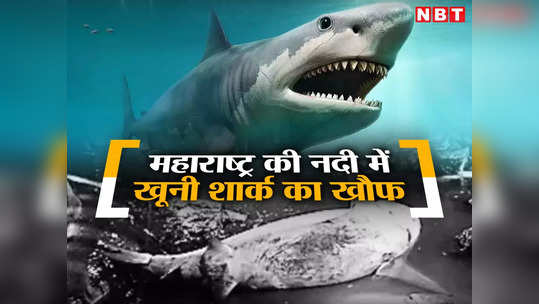 Shark Attack In Maharashtra: नदी में मछली पकड़ने गए युवक पर खूनी शार्क ने किया अटैक, पैर गंवाने की आई नौबत
