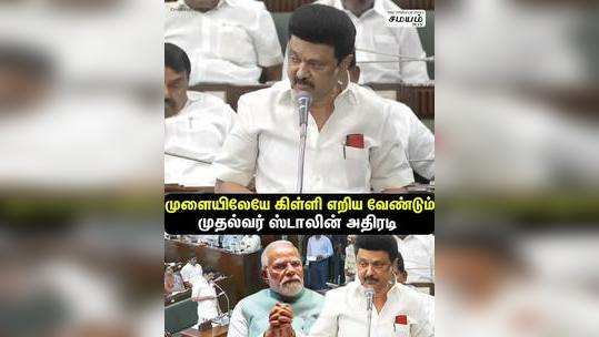 state government stand against one nation one election said cm stalin