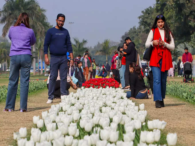 दिल्ली में खिल गए हैं ट्यूलिप के फूल