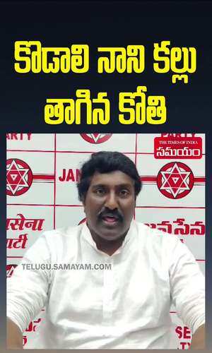 jana sena leader potina mahesh criticized former minister kodali nani