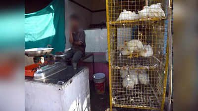Bird Flu: ఏపీలోని ఆ ప్రాంతంలో 3 నెలలు చికెన్‌ షాపులన్నీ మూసేయాలి.. అధికారుల ఆదేశాలు