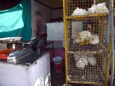 Bird Flu: ఏపీలోని ఆ ప్రాంతంలో 3 నెలలు చికెన్‌ షాపులన్నీ మూసేయాలి.. అధికారుల ఆదేశాలు