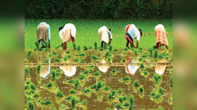 Karnataka Agriculture Budget 2024: ಸಮಗ್ರ ಕೃಷಿಯನ್ನು ಉತ್ತೇಜಿಸುವ ಕರ್ನಾಟಕ ರೈತ ಸಮೃದ್ಧಿ ಯೋಜನೆ: ಸಿದ್ದರಾಮಯ್ಯ ಘೋಷಣೆ