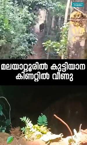 wild elephant fell into a well in malayattoor ernakulam