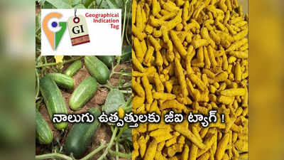 తెలంగాణ నుంచి మరో 4 వ్యవసాయ ఉత్పత్తులకు GI ట్యాగ్..!
