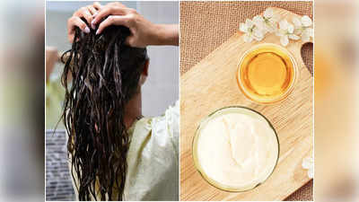 DIY Leaves Hair Pack: এই ৩ পরিচিত পাতা ব্যবহার করলে মাত্র ১ দিন, পাতলা চুল ঘন হবেই