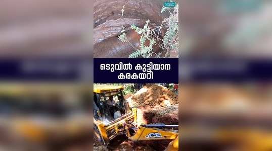 child elephant who fell into a well was rescued in malayatoor