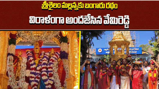 golden chariot to srisailam mallanna donated by ysrcp mp vemireddy prabhakar reddy