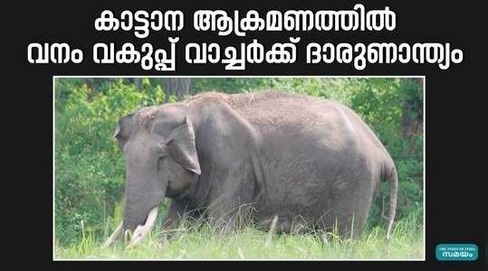 forest department watcher died in wild elephant attack