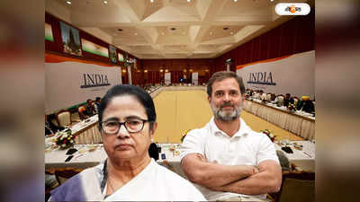 INDIA Bloc PM Candidate : প্রধানমন্ত্রী হিসেবে ইন্ডিয়া জোটের যোগ্য নেতা কে? জবাব লালুর