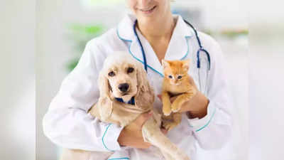 Insurance: पालतू जानवरों का भी होता है बीमा, जानिए यह क्यों कराना चाहिए