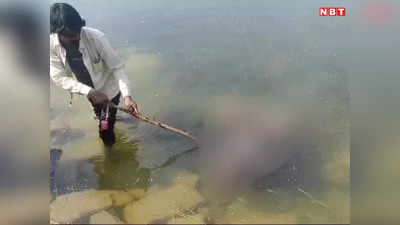 Shivpuri News: शिवपुरी के नागाहोरी डैम ने पांच दिन बाद उगली गायब युवक की लाश, कैचमेंट एरिया में मछली पकड़ने गया था