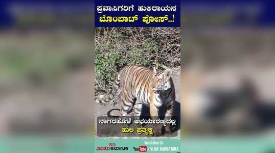 tourists are happy to see a tiger in nagarhole forest
