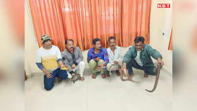 Indore News: इंदौर में स्मगलर कछुआ और रेडसैंडबोआ स्नेक की कर रहे थे अवैध तस्करी, वन विभाग ने 5 आरोपियों को पकड़ा