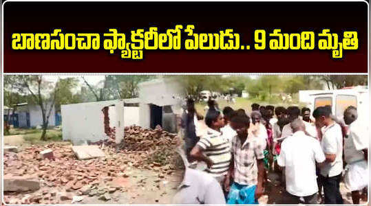9 dead in explosion at fireworks factory in tamil nadu