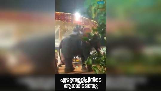 elephant attack during temple festival in kozhikode
