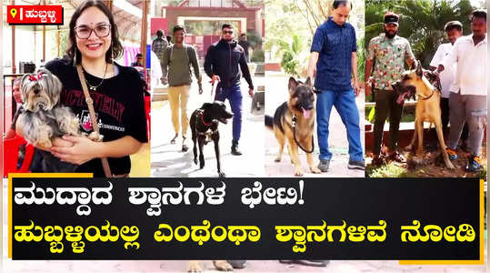 dog show in hubballi attracts pet lovers basavaraj horatti informed about variety of dog breeds