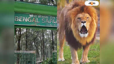 Bengal Safari Park : বেঙ্গল সাফারির সিংহের নাম ঘিরে বিতর্ক অব্য়াহত, সীতা-র কি নামবদল? মুখ খুললেন মন্ত্রী