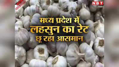 Garlic Prices In MP: लहसुन के खेत में CCTV कैमरे! छिंदवाड़ा में चोरों से बचने के लिए किसानों का नायाब तरीका