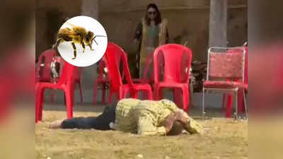 Guna News: शादी समारोह में मधुमक्खियों का तांडव, बारात करने आए मेहमानों को दौड़ा-दौड़ा कर काटा