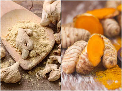 Dry Ginger Vs Dry turmeric: সুস্থ থাকতে কোনটা খাবেন, শুকনো হলুদ নাকি শুকনো আদা? পুষ্টিবিদের পরামর্শ শুনলেই বিপদের ফাঁদে আর পড়তে হবে না!