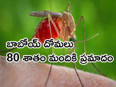 దోమలతో ఎంత ప్రమాదం ఉందో తెలుసా? స్ప్రే కొత్త మార్గదర్శకాలు విడుదలచేసిన WHO