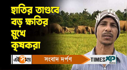 farmers face huge losses due to elephant attacks watch video