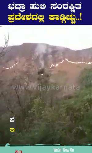fire in the forest of tarikere taluk of chikmagalur district