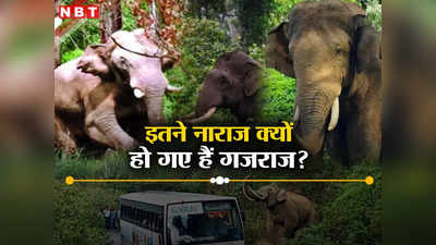 हाथी नहीं साथी, जानिए क्यों केरल में इतने गुस्से में हैं गजराज