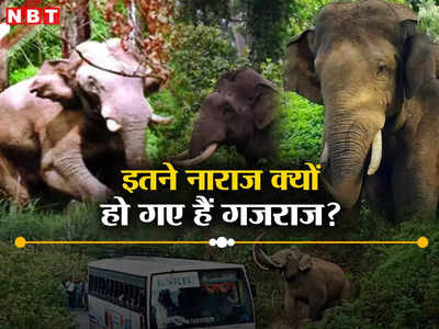 हाथी नहीं साथी, जानिए क्यों केरल में इतने गुस्से में हैं गजराज