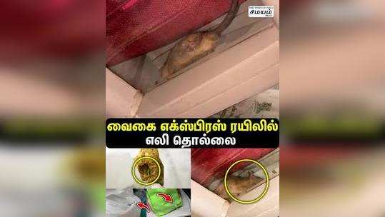 passengers suffer of rats in madurai vaigai express