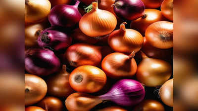 Onion Export: कांदा निर्यातबंदी जैसे थे, या तारखेपर्यंत बंदी कायम, केंद्रातील वरिष्ठ अधिकाऱ्याचे स्पष्टीकरण