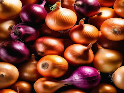 Onion Export: कांदा निर्यातबंदी जैसे थे, या तारखेपर्यंत बंदी कायम, केंद्रातील वरिष्ठ अधिकाऱ्याचे स्पष्टीकरण