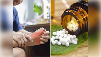 চিকিৎসকের পরামর্শ মেনে এইসব Homeopathy ওষুধ খেলে, Uric Acid কমবে বলে বলে!