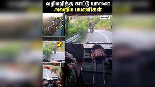 elephant in coimbatore detour government bus cause passengers panic