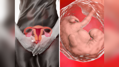 Prolapsed Uterus: त्रासदायक शारीरिक संबंध आणि बद्धकोष्ठतेमुळे योनीबाहेर येते गर्भाशय, काय आहे नक्की प्रकार
