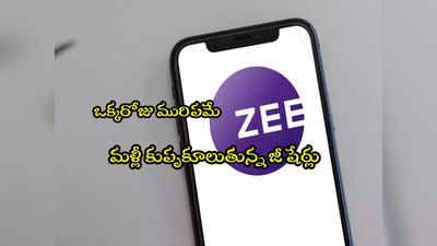 రూ.2000 కోట్ల అవకతవకలు.. కుప్పకూలిన Zee షేర్లు.. 11 శాతానికిపైగా నష్టంతో..!