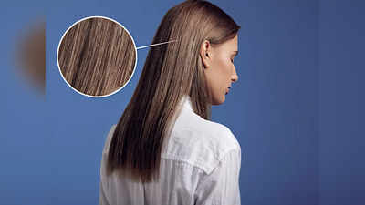 बालों के झड़ने की रफ्तार पर लगाम लगा देंगे ये Hair Growth Oil, बालों को जड़ों तक बनाएंगे मजबूत और देंगे मजबूती