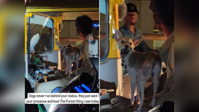 Peak Bengaluru Moment: पालतू कुत्ते को लेकर ऑटो रिक्शा चलाने निकला शख्स, दोनों का प्यार देखकर लोगों का दिल खुश हो गया