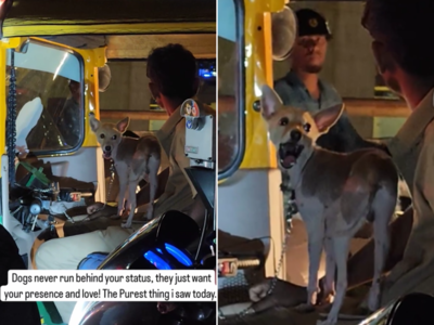 Peak Bengaluru Moment: पालतू कुत्ते को लेकर ऑटो रिक्शा चलाने निकला शख्स, दोनों का प्यार देखकर लोगों का दिल खुश हो गया