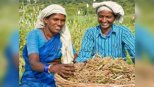 விவசாயிகளுக்கு 2000 ரூபாய் கிடைக்காது.. உடனே இந்த வேலைய முடிங்க!